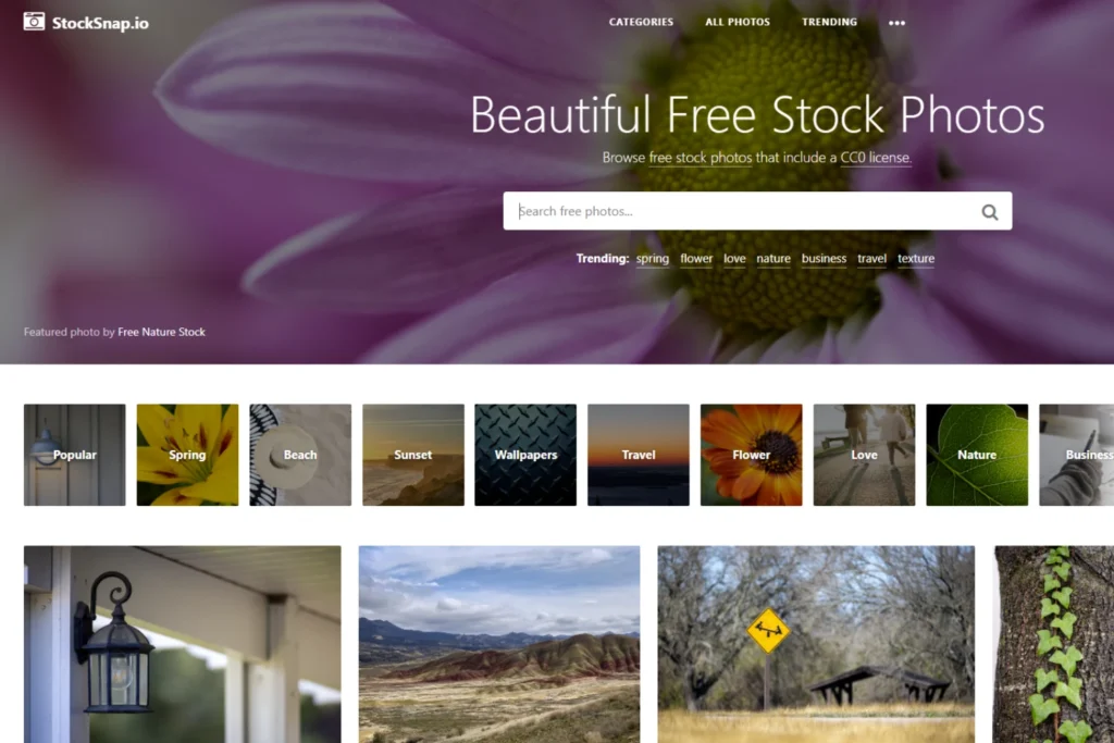 StockSnap.io โหลดภาพฟรีแบบไม่มีลิขสิทธิ์