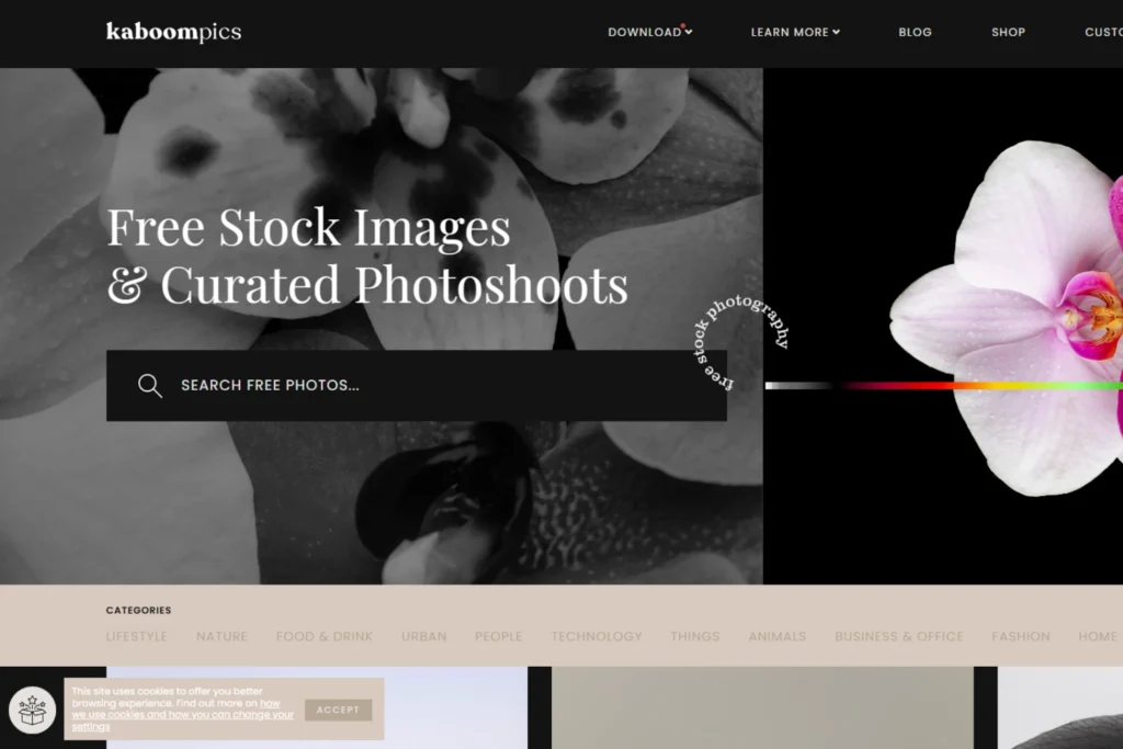 เว็บโหลดภาพฟรี แบบมินิมอล